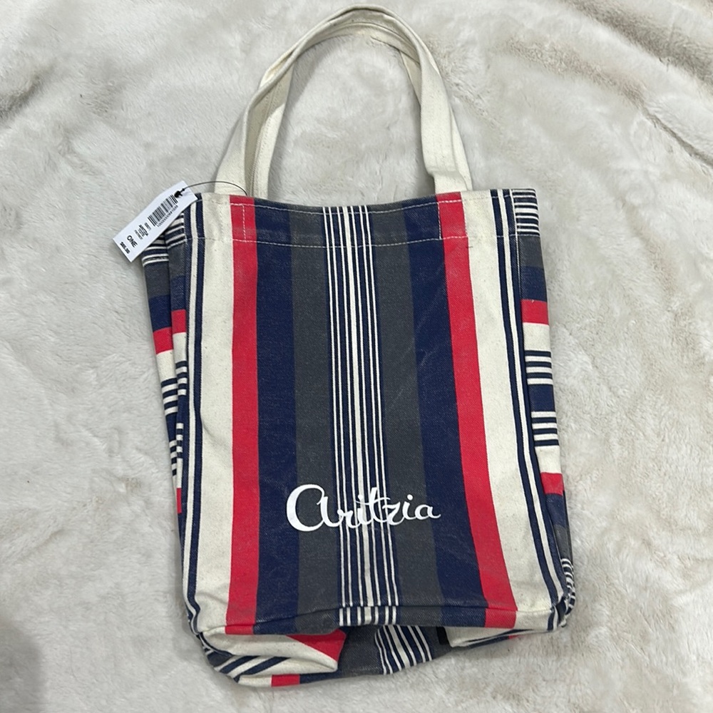 Aritzia Tote Bag